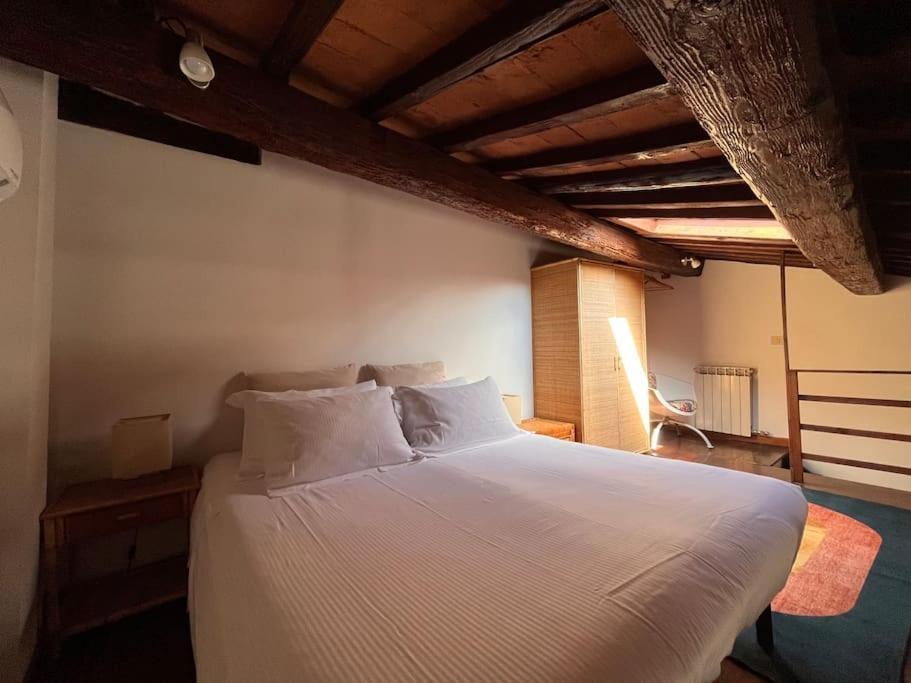 Spacious Near Arno River