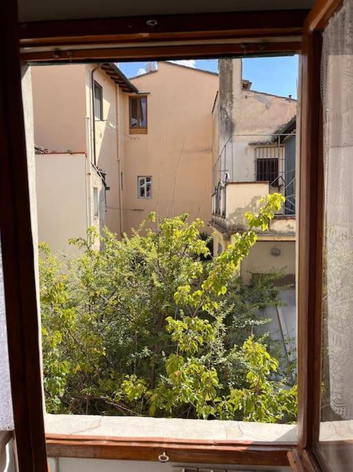 Apartamento Spacious Near Arno River Florencia